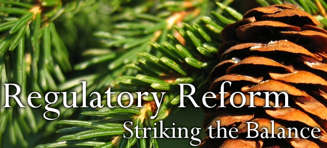 Regulatory Reform